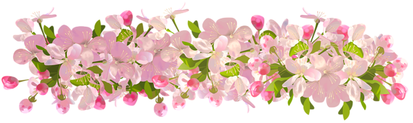 Spring_Decoration_Transparent_PNG_Clip_Art_Image-1704057517